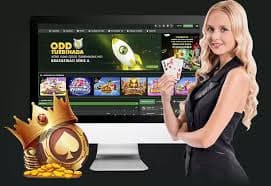 368 bet live